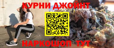 крисы Анапа